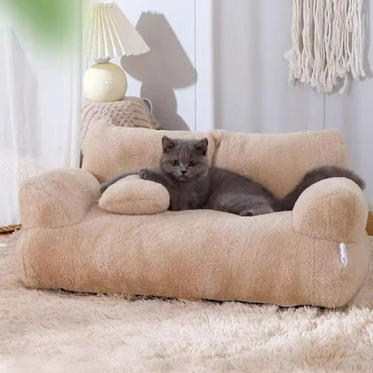 chaton mignon allonger canape chat moelleux beige