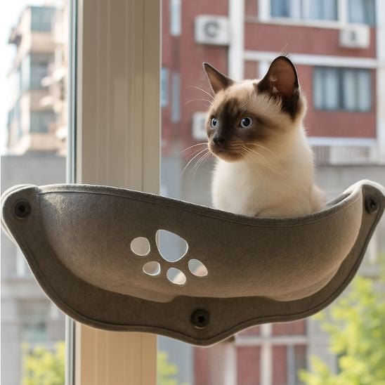 chaton mignon dans hamac chat fenetre gris confortable motif patte