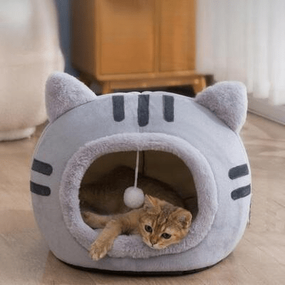 chaton mignon dans lit pour chat confortable gris