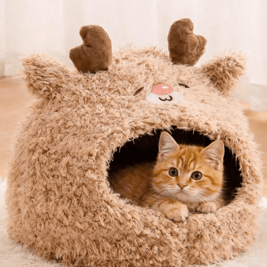 chaton orange couche dans niche chat douce brune design renne mignon