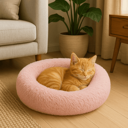 chaton orange dans coussin chat peluche douce en rond rose