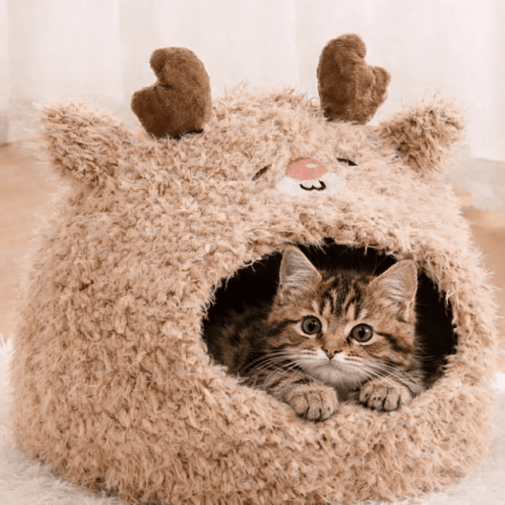 chaton tigre couche dans niche chat douce brune design renne mignon