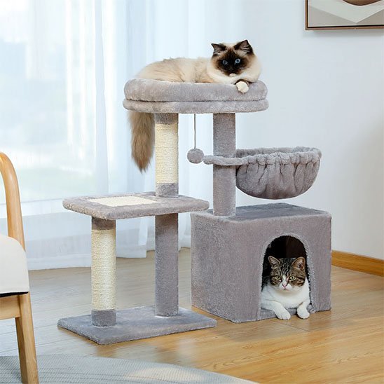 chats dans mini arbre a chat gris confortable