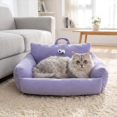 chatte grise sur petit canape chat violet