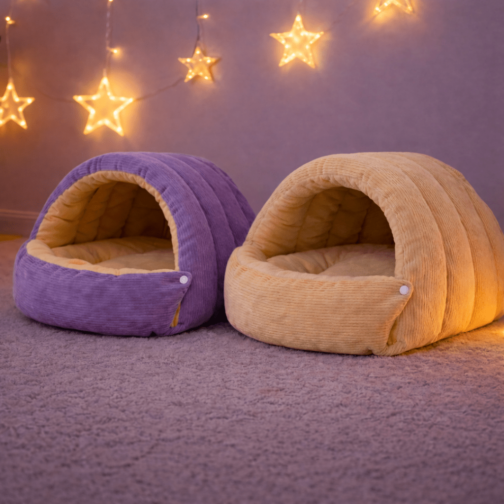 deux chat niche chaude semi fermee beige violet