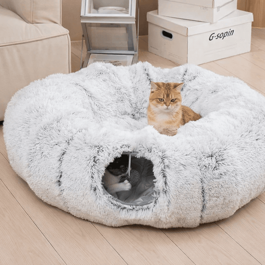 deux chatons jouant dans niche chat tunnel gris doux confortable