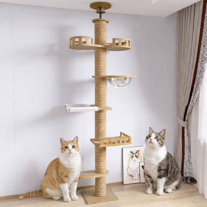 deux chats assis devant arbre a chat en bois minimaliste