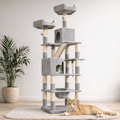 deux chats dans arbre à chat en bois xxl 