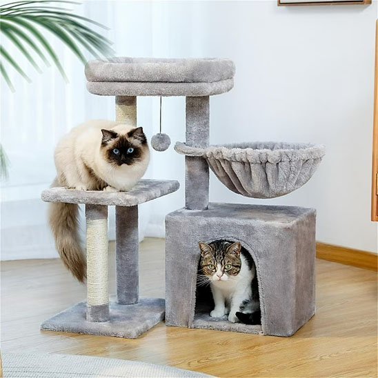 deux chats dans mini arbre a chat gris confortable