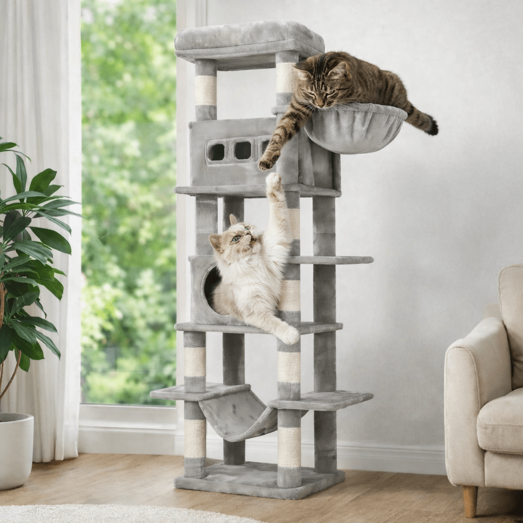 deux chats jouant sur arbre à chat xxl robuste
