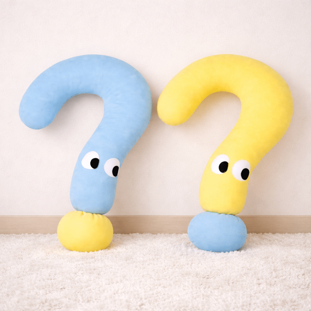 deux coussin à chat bleu jaune design interrogatif