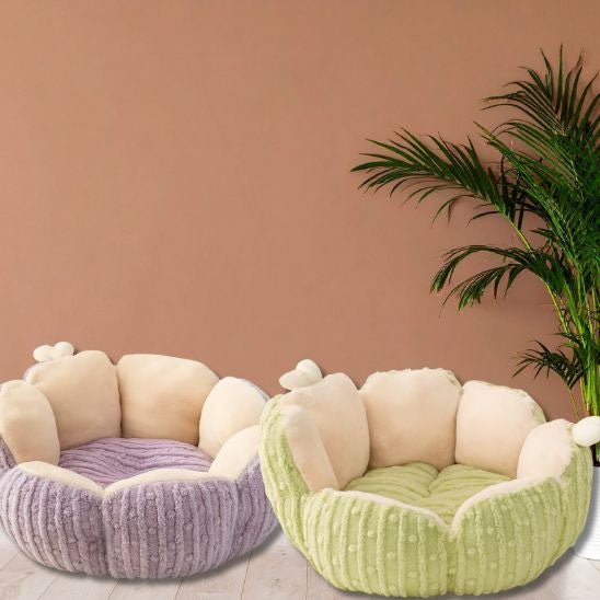 deux coussin pour chat design fleur moelleux vert violet