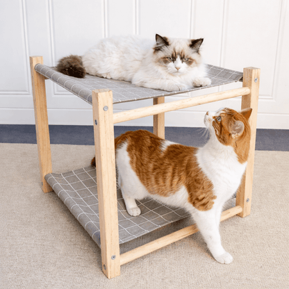 deux felins dans hamac pour chat double gris confortable