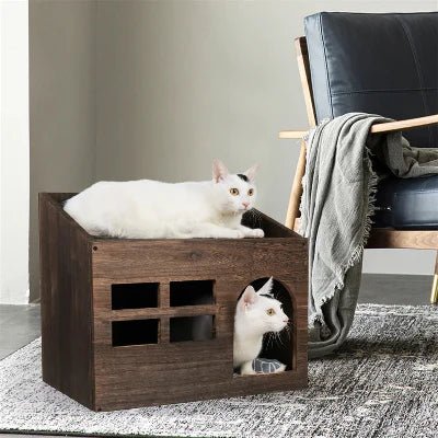 deux felins dans niche pour chat marron