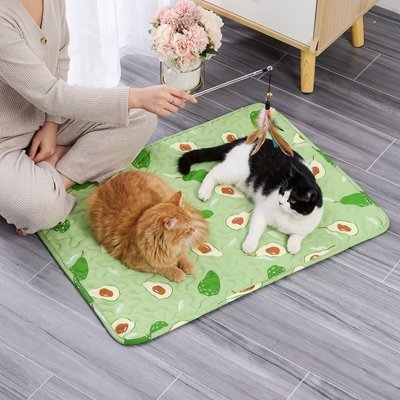 deux felins sur tapis rafraichissant chat design avocats vert