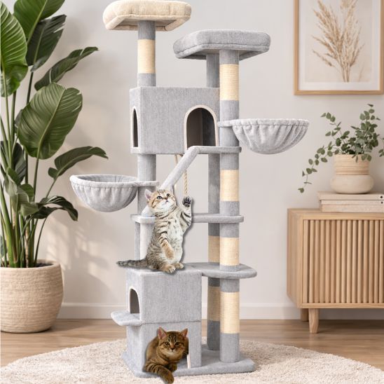 deux petits chats dans grand arbre à chat xxl stable