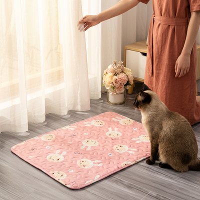 felin devant tapis rafraichissant chat design lapins rose