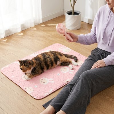 felin sur tapis rafraichissant chat design lapins rose