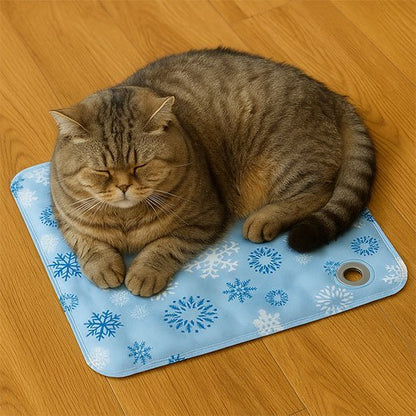 felin sur tapis rafraichissant chat