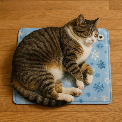 gros minou sur tapis rafraichissant chat
