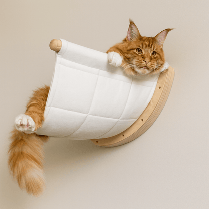 maine coon dans hamac chat mural confortable en bois