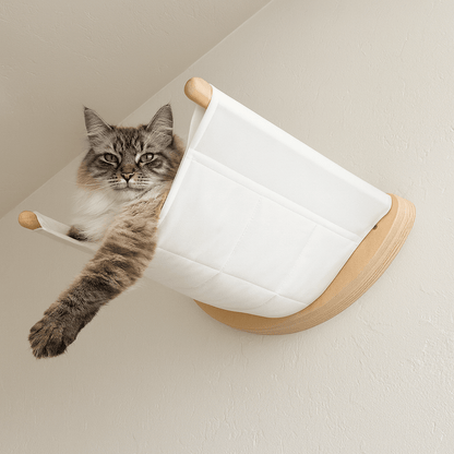 majestueux matou allonge dans hamac chat mural confortable en bois