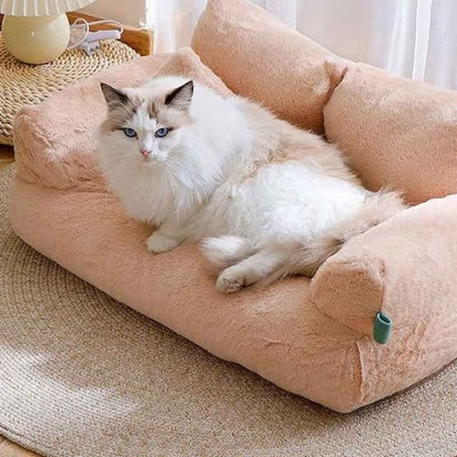matou blanc allonger canape chat moelleux beige