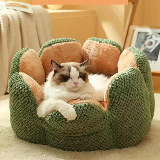 matou couche dans coussin chat forme fleur ronde confortable vert