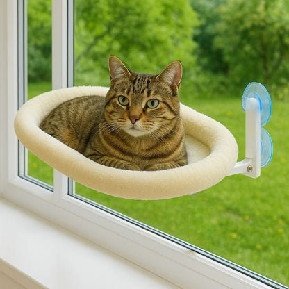 matou tigre sur hamac chat fenetre blanc doux confortable