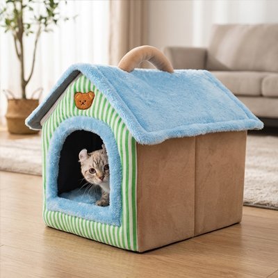 minou dans maison pour chat confortable adorable