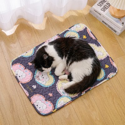 minou endormi sur tapis rafraichissant chat