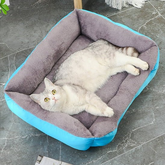 panier chat rectangulaire bleu doux avec chat allonge