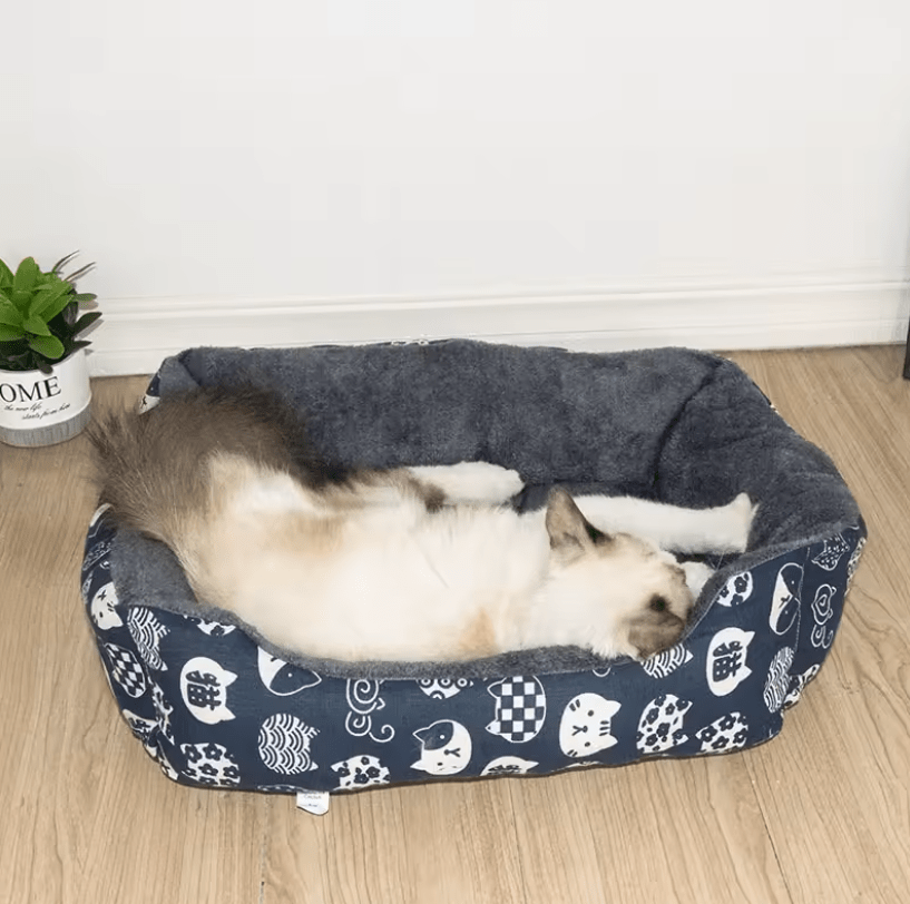 panier chat rectangulaire bleu motifs chats blanc avec chat allonge
