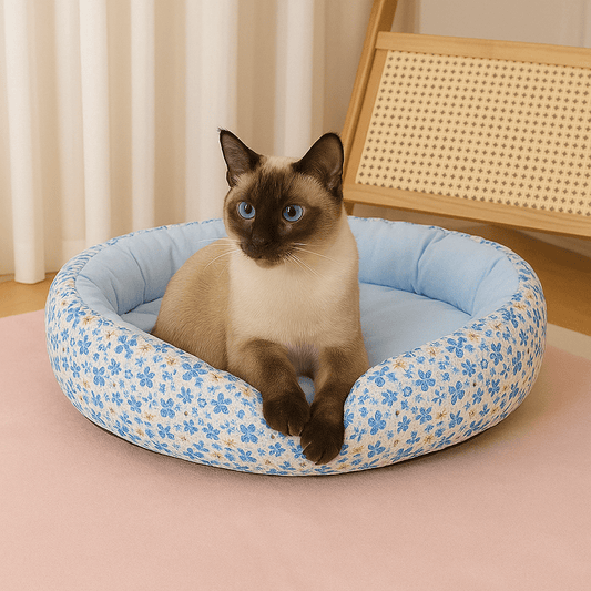 panier pour chat ovale motif floral bleu avec chat couche