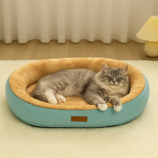 panier pour chat ovale bleu-vert avec chat gris allonge