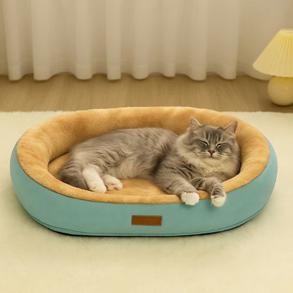 panier pour chat ovale bleu vert avec chat gris allonge
