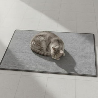 petit chat gris allonger sur tapis griffoir chat gris