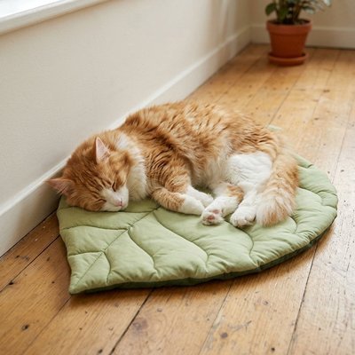tapis chat design avec chat orange endormi