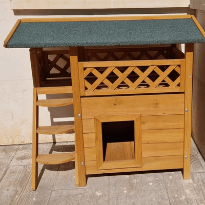 vue pres maison chat confortable